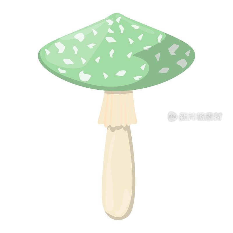 绿色鹅膏菌。食用有机蘑菇。松露棕色帽。森林野生蘑菇类型。