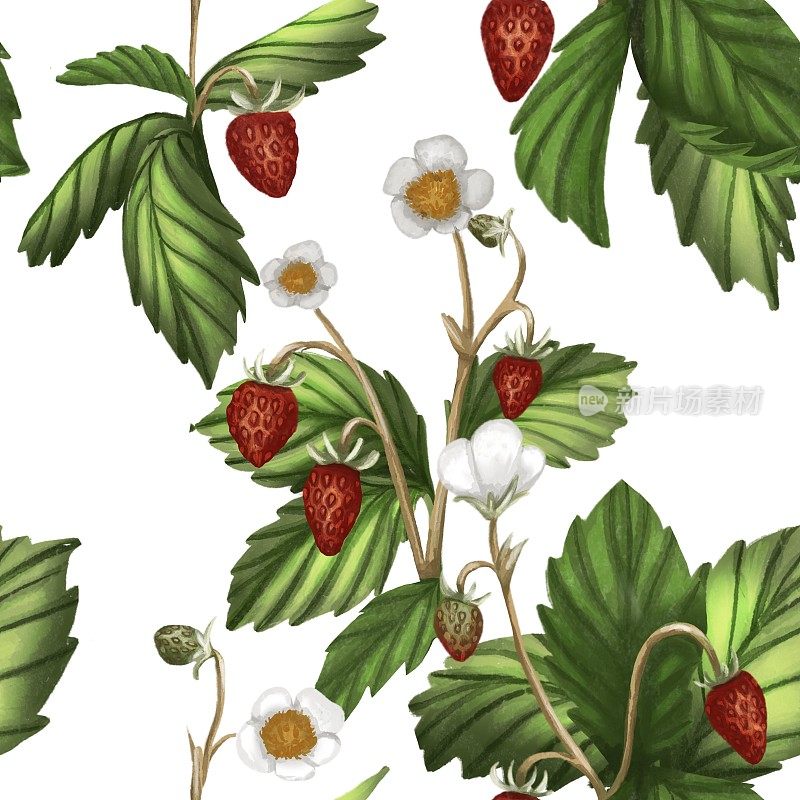 野草莓图案