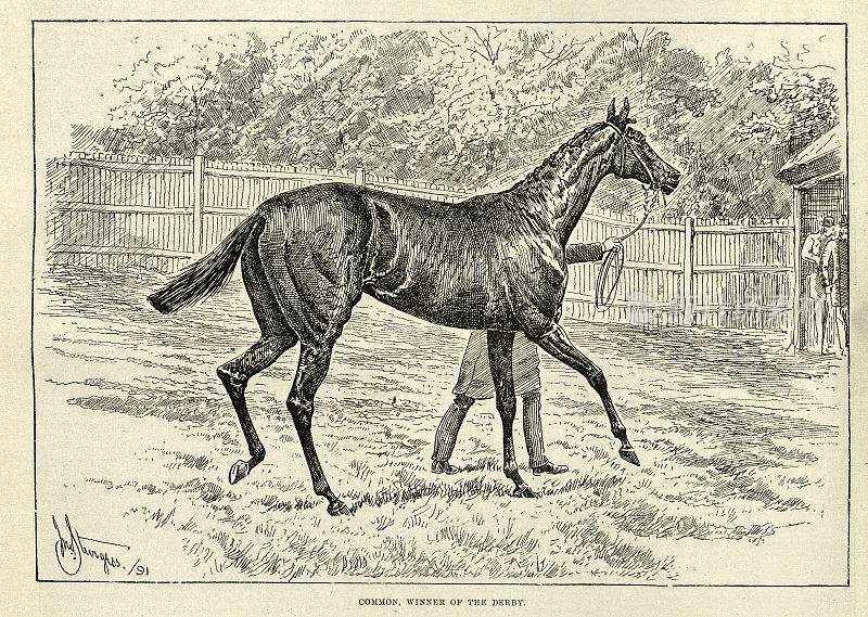 Common，英国纯种马，1891年埃普索姆德比和三冠王冠军
