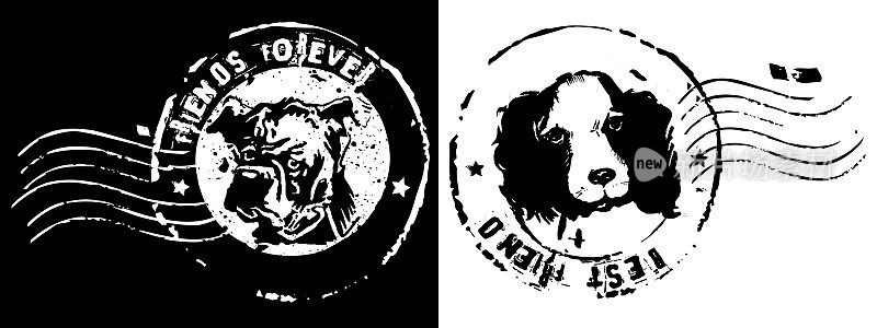 邮票上印有黑白背景的西班牙猎犬和拳师犬的原画。给朋友的信，盖章，盖章。友谊、爱情和忠诚的概念。