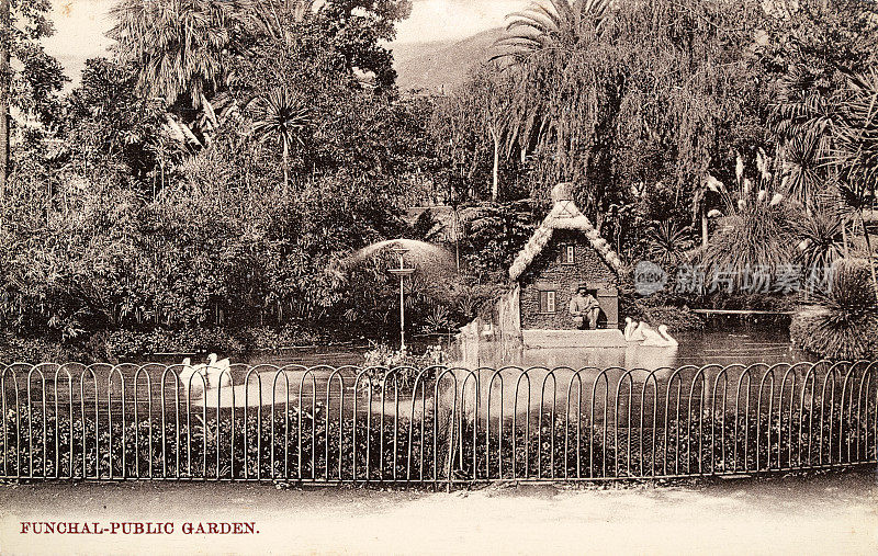 Funchal公共花园，游客，池塘，鸭屋，马德拉岛，1890年代，19世纪，复古照片