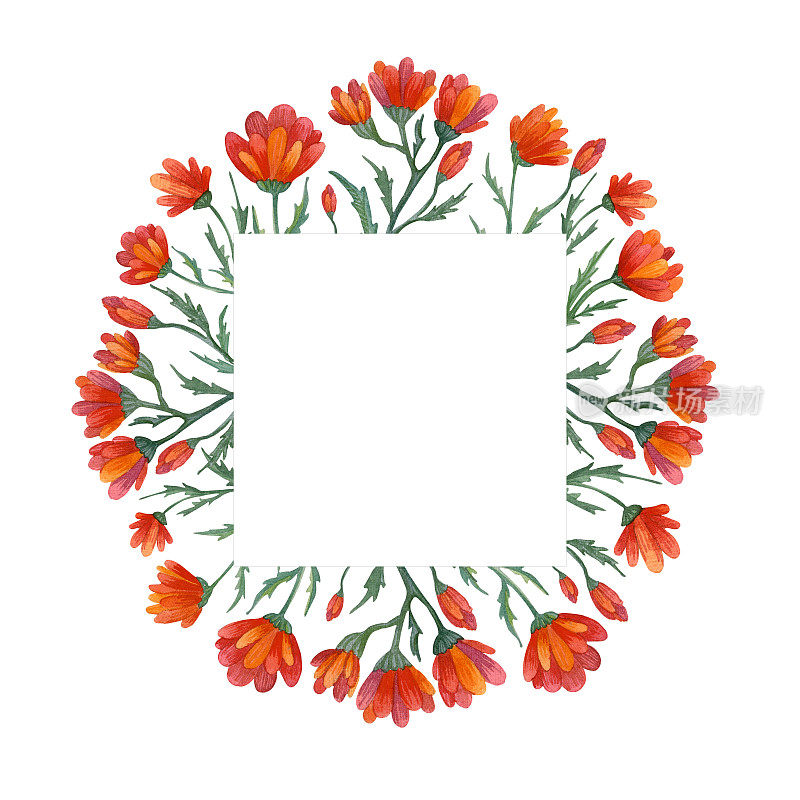水彩手绘的方形框，绿色的叶子和红色的花朵。适合制作请柬和卡片。