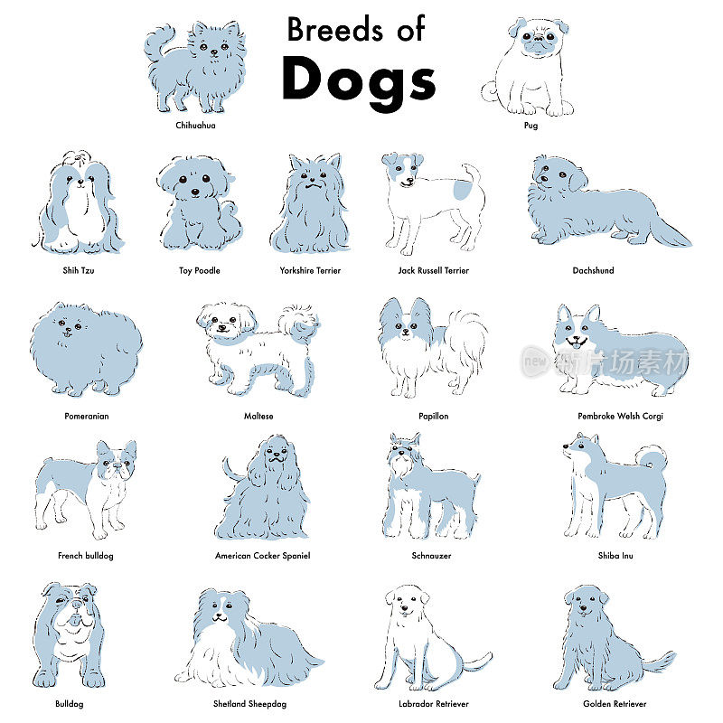 简单可爱的流行狗品种手绘线条矢量插图集