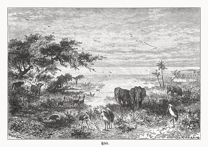 《非洲乍得湖岸边》，木版画，1899年出版