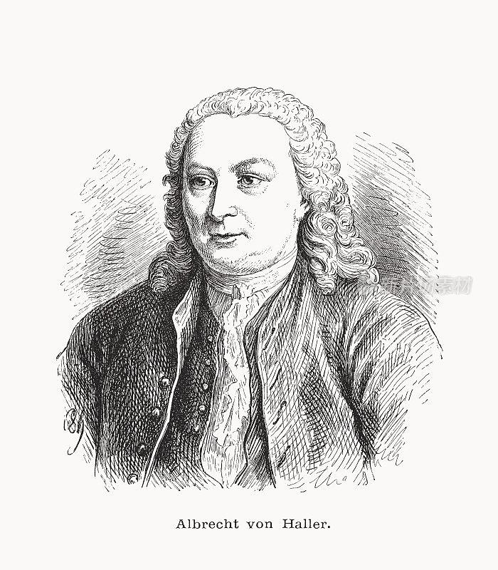 阿尔布雷希特・冯・哈勒(1708-1777)，瑞士医生，木版画，1877年出版