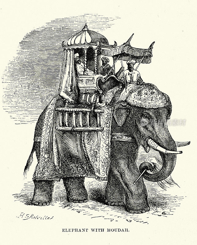 19世纪60年代维多利亚时代，骑在大象背上的人