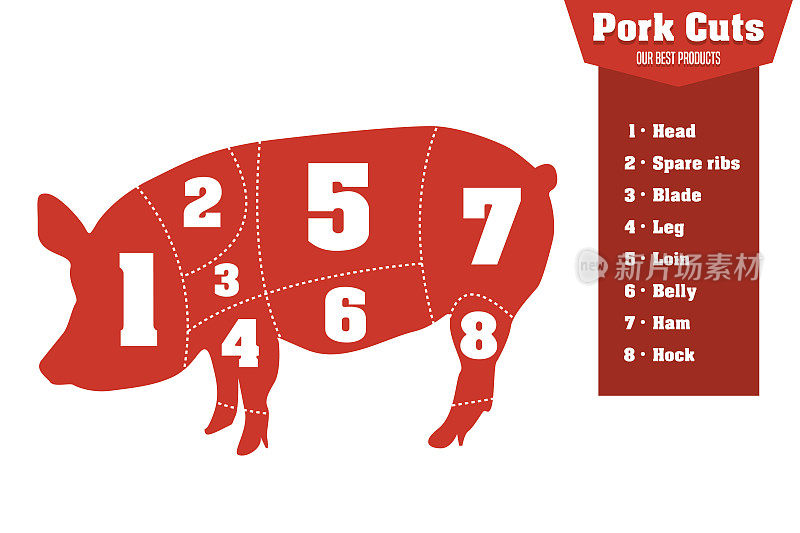 猪肉切块信息图表集肉部分，矢量