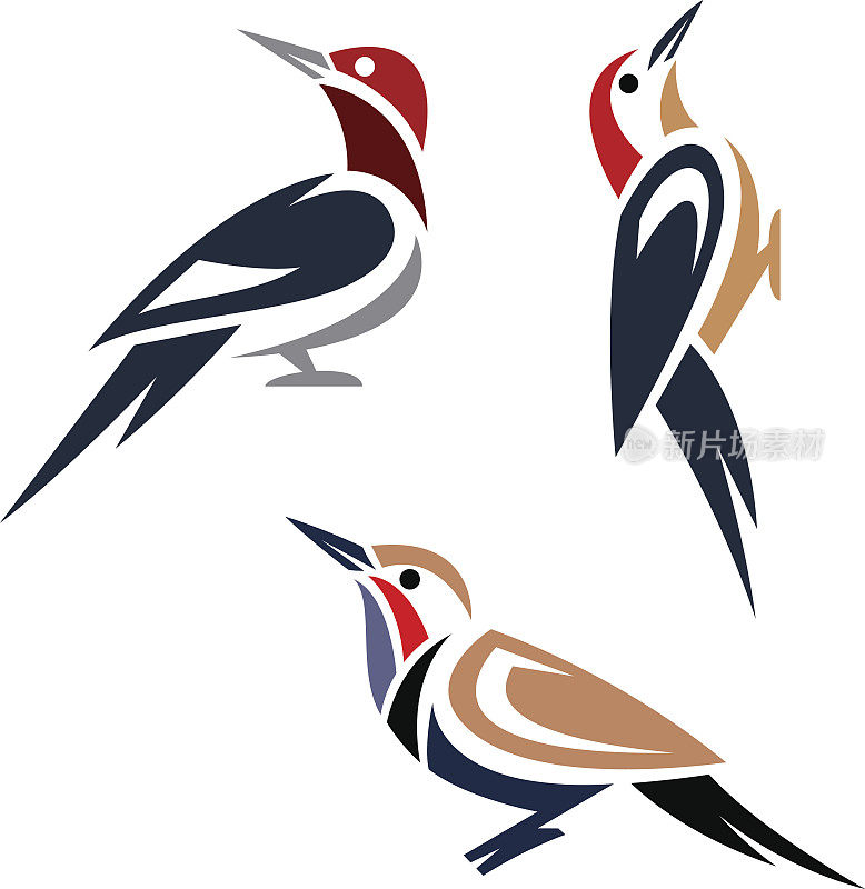 计算机绘图的啄木鸟在白色的背景