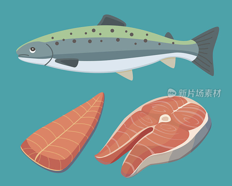 载体海鲜插图设置扁新鲜鱼和螃蟹。龙虾和生蚝