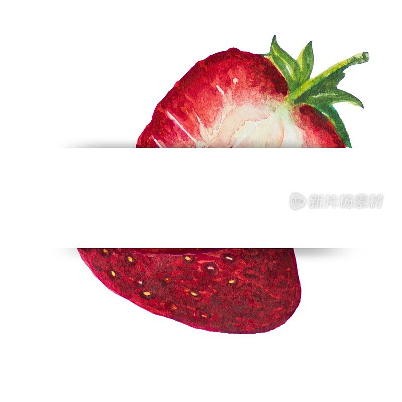 草莓画与水彩然后设计在一个白色的背景。在中间为你的文本留出空白。