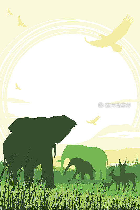 非洲狩猎背景，有喇叭象，象妈妈，小象和羚羊