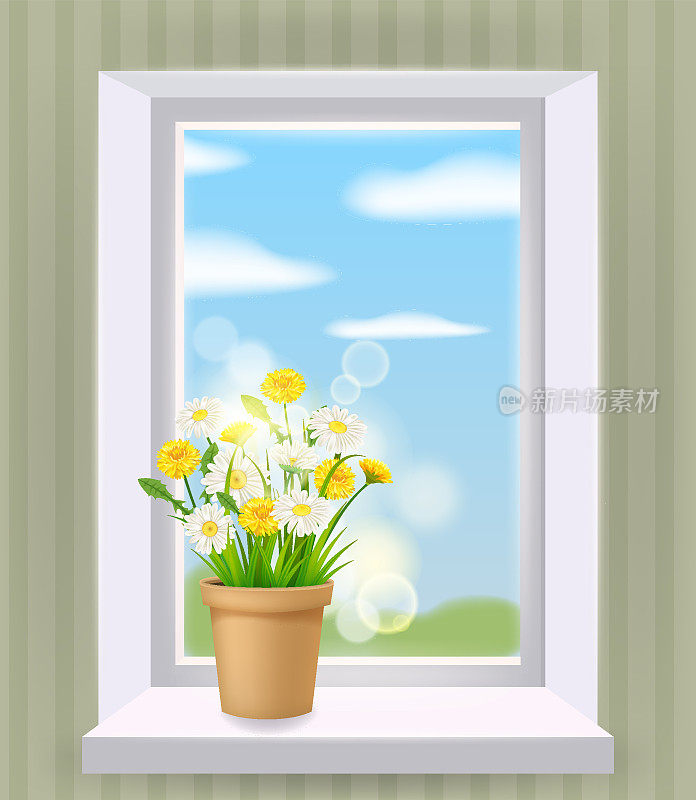 室内开窗，春暖花开，窗台上放着雏菊和蒲公英的花盆。矢量插图现实