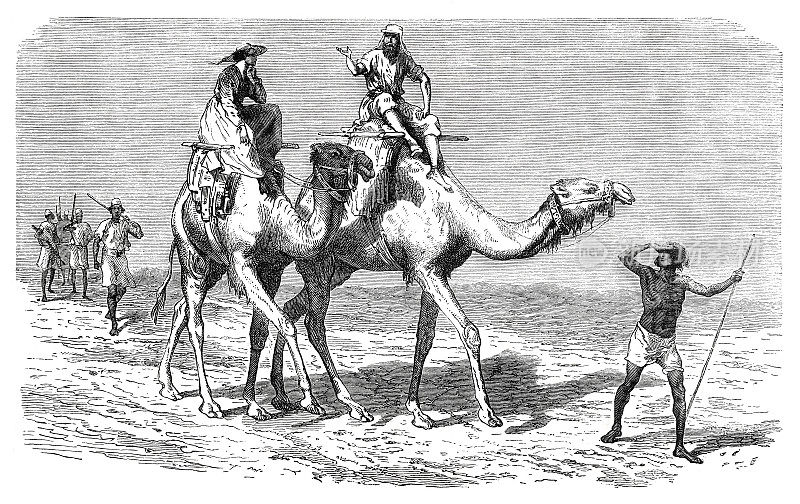 1870年，两名游客骑着骆驼穿越非洲沙漠