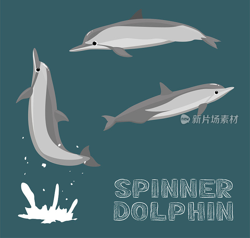 旋转海豚卡通矢量插图