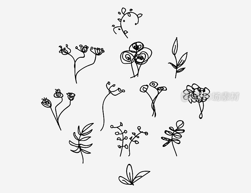 集手绘线条植物枝杈花卉图案，涂鸦设计元素