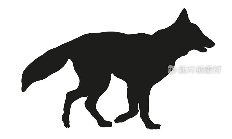 黑狗轮廓。Running比利时牧羊犬小狗。宠物的动物。孤立在白色背景上。