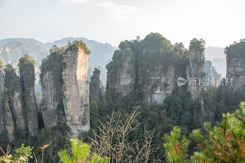 砂岩柱，张家界国家森林公园，中国