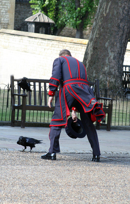 伦敦塔的守卫追逐乌鸦