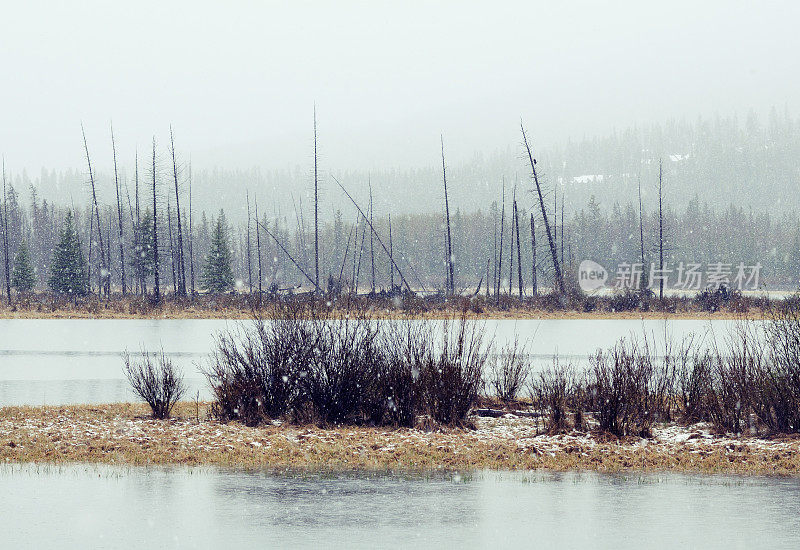 朱砂湖下雪了