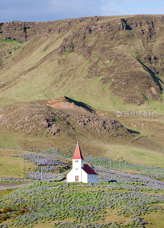 冰岛维克山坡上的教堂和野花