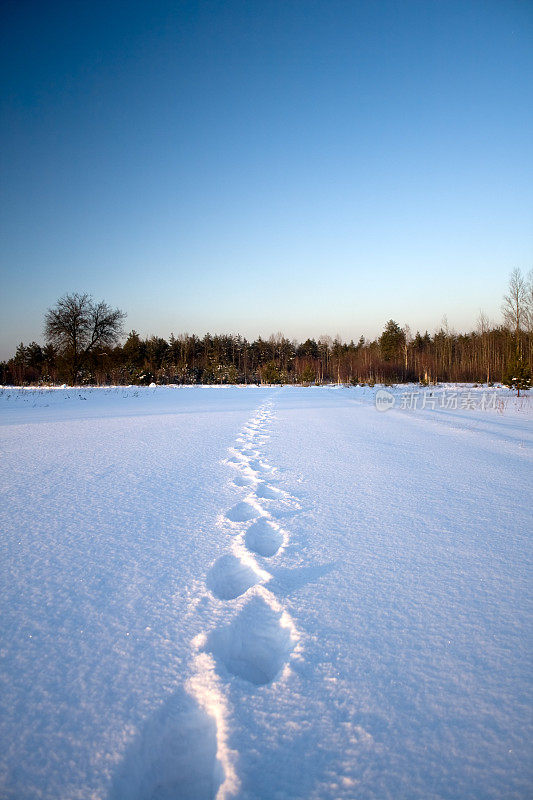 脚步在雪地