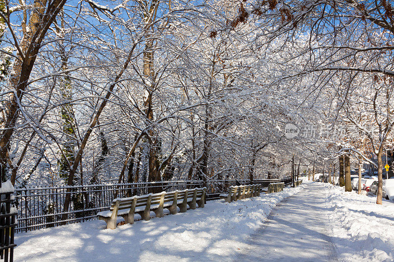 纽约下雪了。