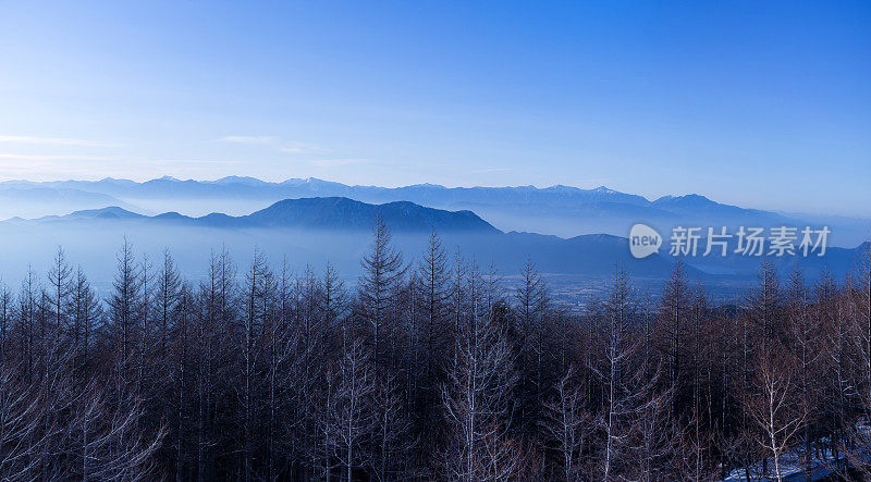 黎明时朦胧的风景