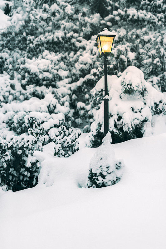 冬天，白雪覆盖的公园里的灯柱