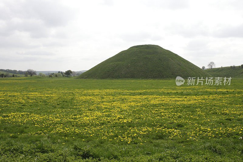 锡尔伯里山史前堆黄色蒲公英