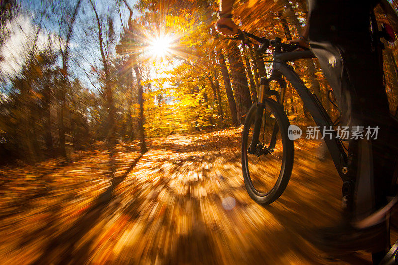 骑山地自行车穿过树林