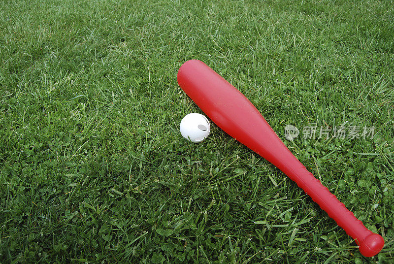 红色的球棒和白色的球躺在绿色的草地上