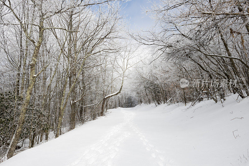 在Unaka山风景区被雪覆盖的道路上的脚印
