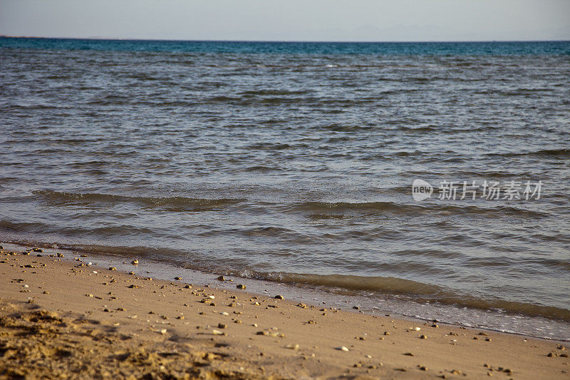 埃及红海的海滩景色