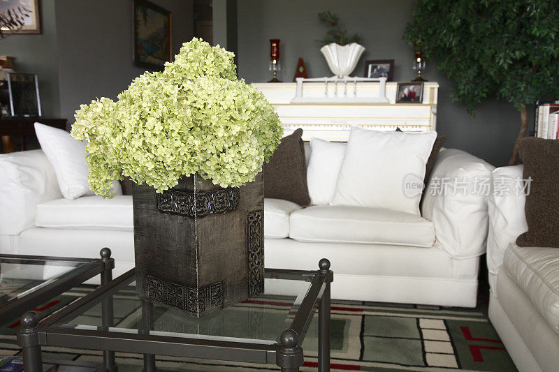 素雅的白绿客厅里的绣球花