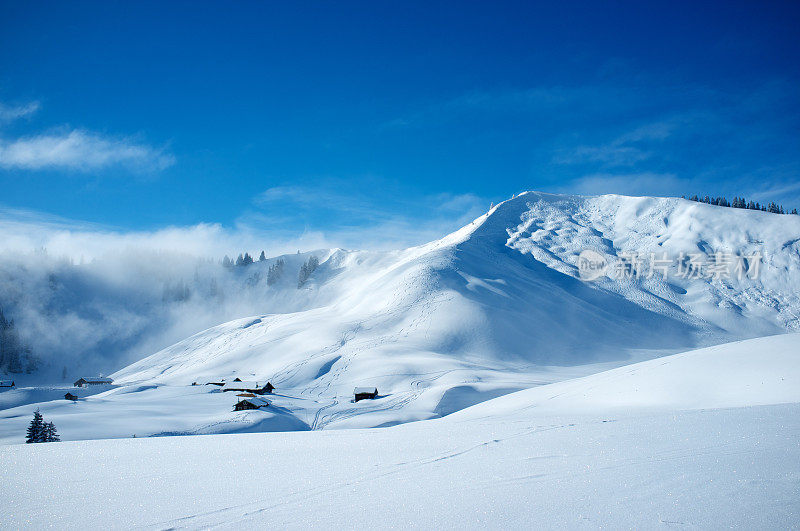 粉雪山