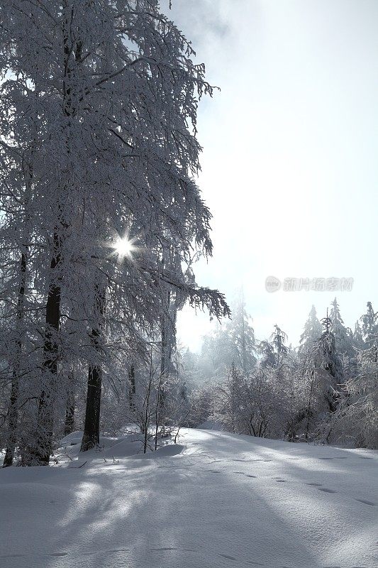 下雪的冬天的风景