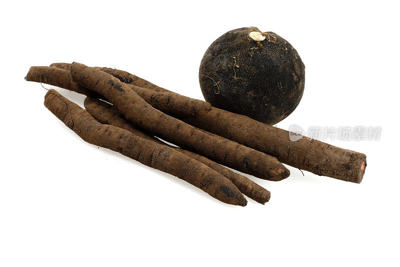 Salsify，孤立在白色