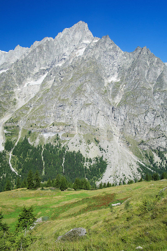 阿尔卑斯山的一座山