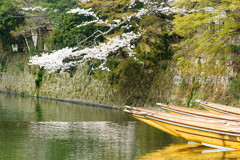 日本京都的岚山公园