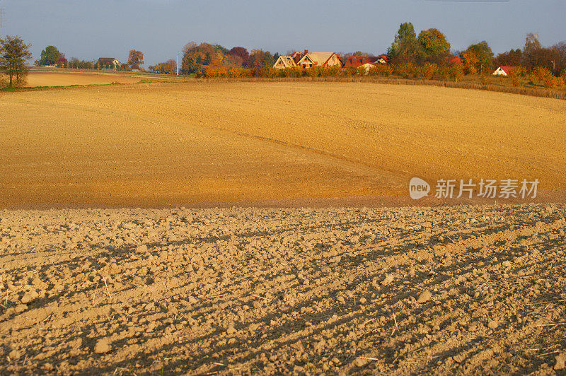 秋天的风景