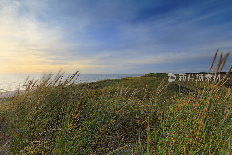 荷兰海岸的海岸风景