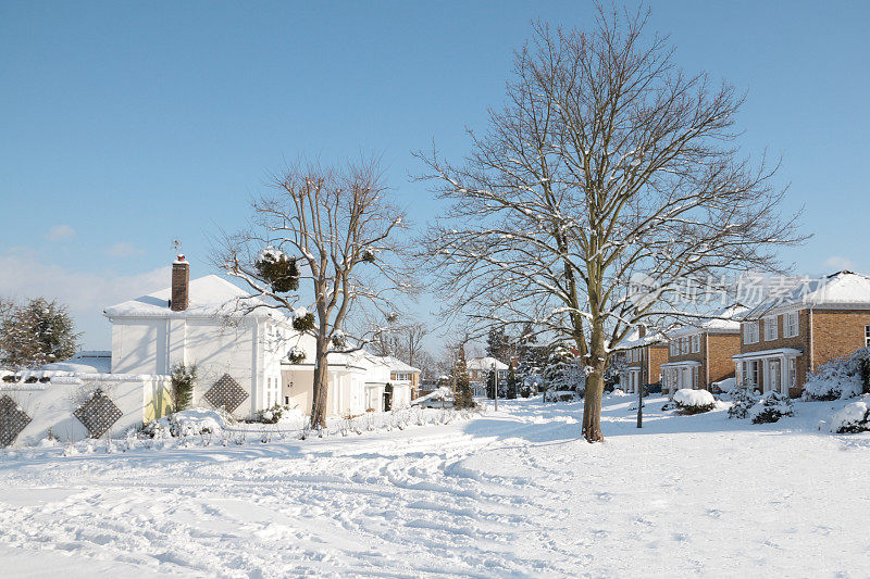 英国萨里郡，雪地里的中产阶级郊区