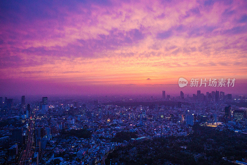 东京美丽的城市夜景