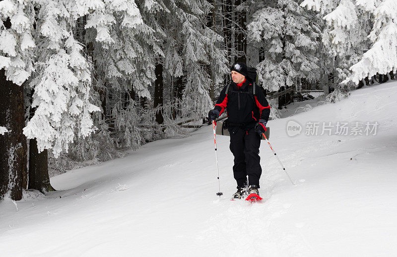 在冬季森林里徒步旅行的人