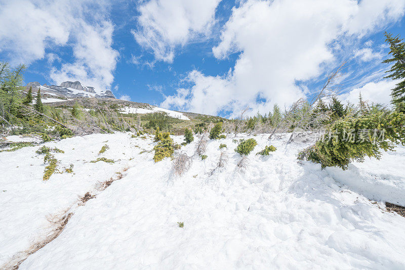 雪崩造成的山景