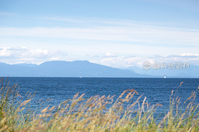 风笛湖公园，纳奈莫，BC，加拿大