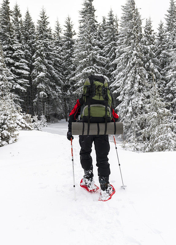 在冬季森林里背包旅行的人。