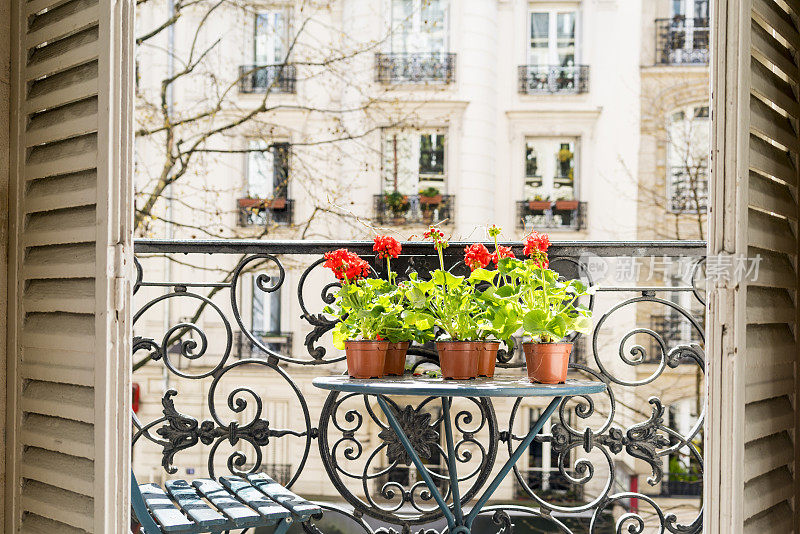 春天，巴黎阳台上盛开着红色的天竺葵