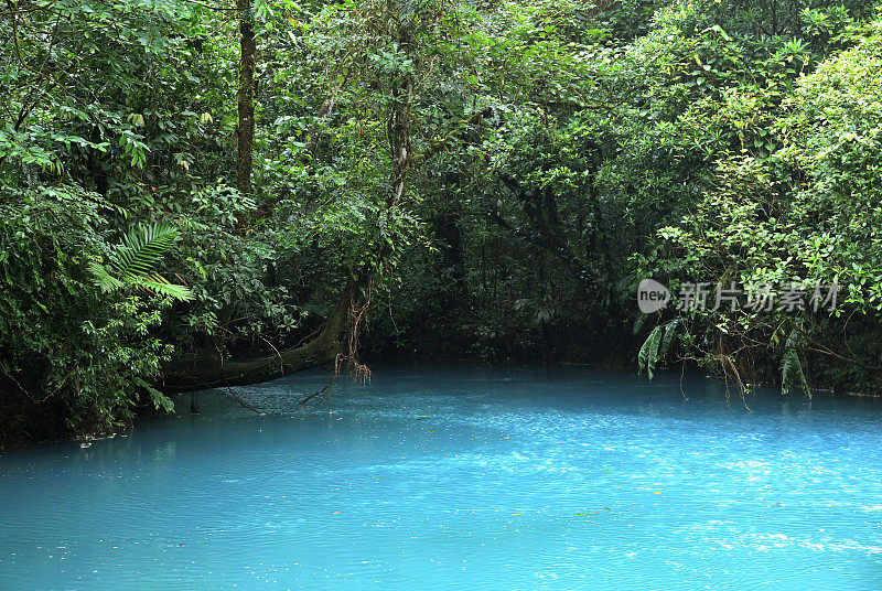热带雨林中的蓝色河流