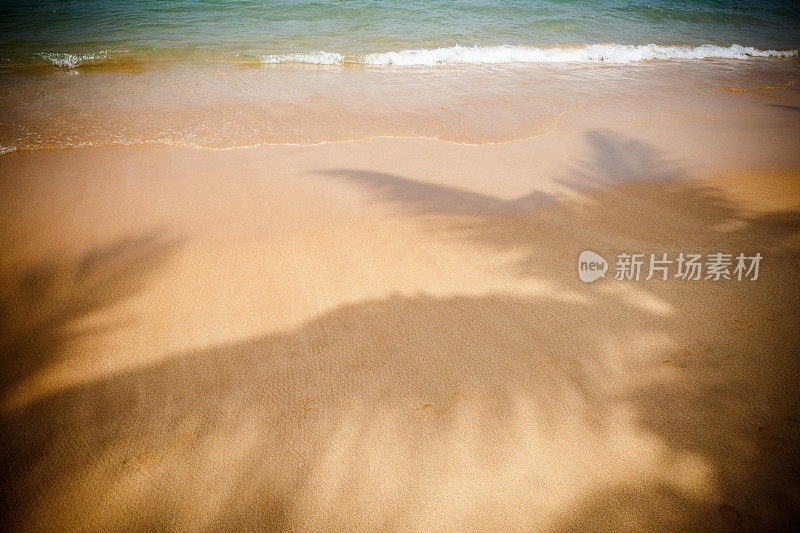 海滩上棕榈叶的影子
